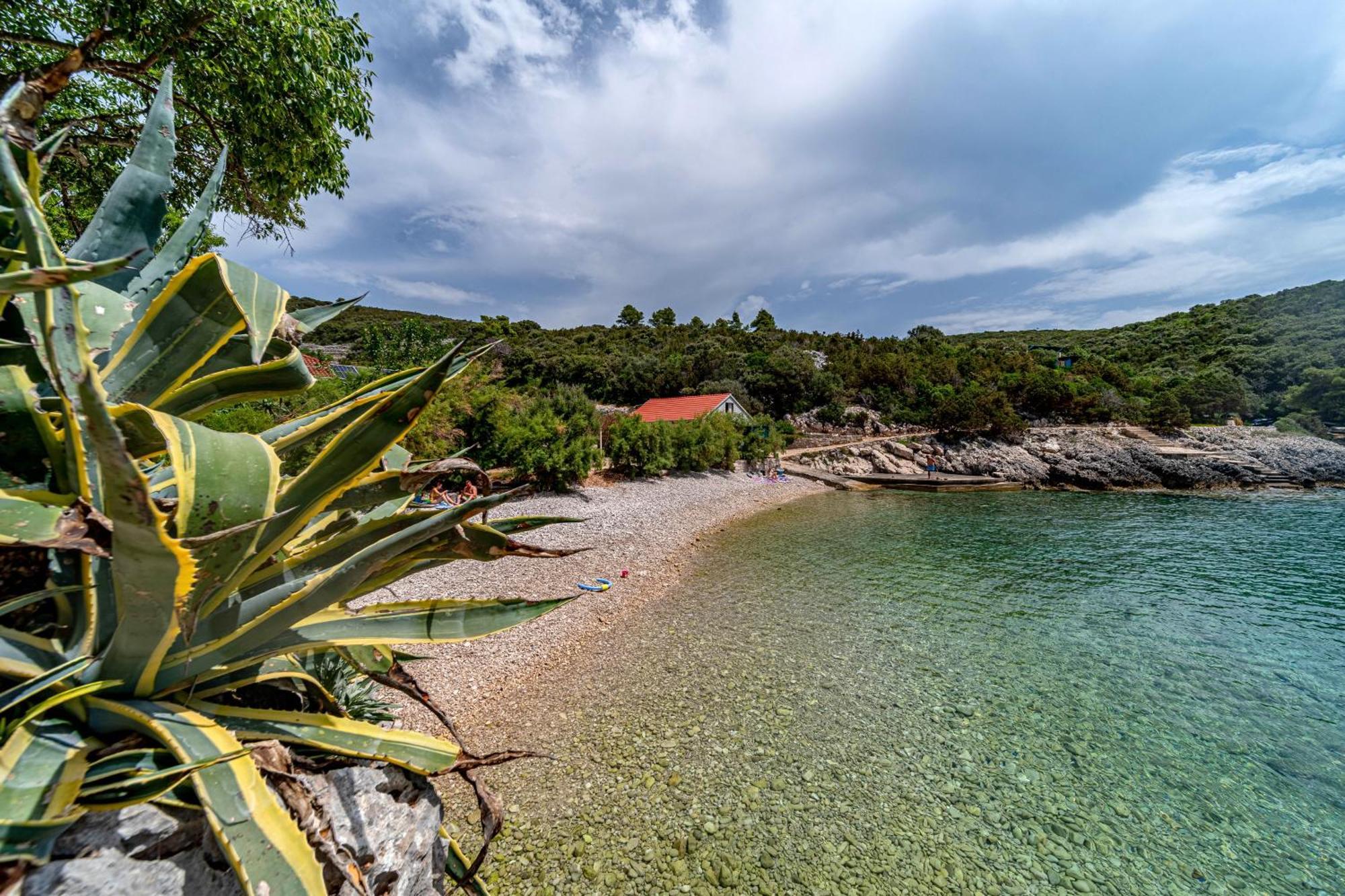 Seaside House For Families With Children Cove Rasohatica, Korcula - 4386 Lumbarda Zewnętrze zdjęcie